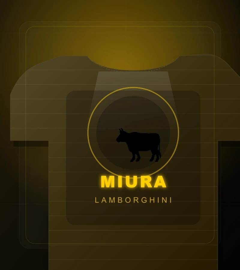 MIURA detail